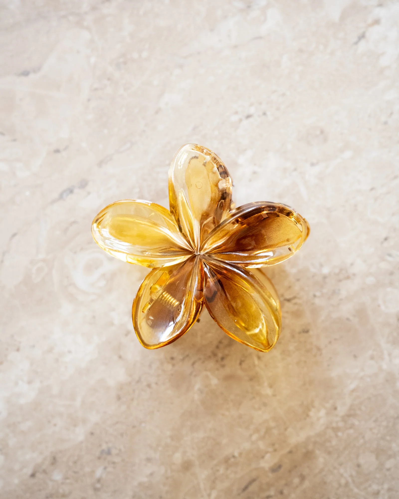 Miniatuur 3