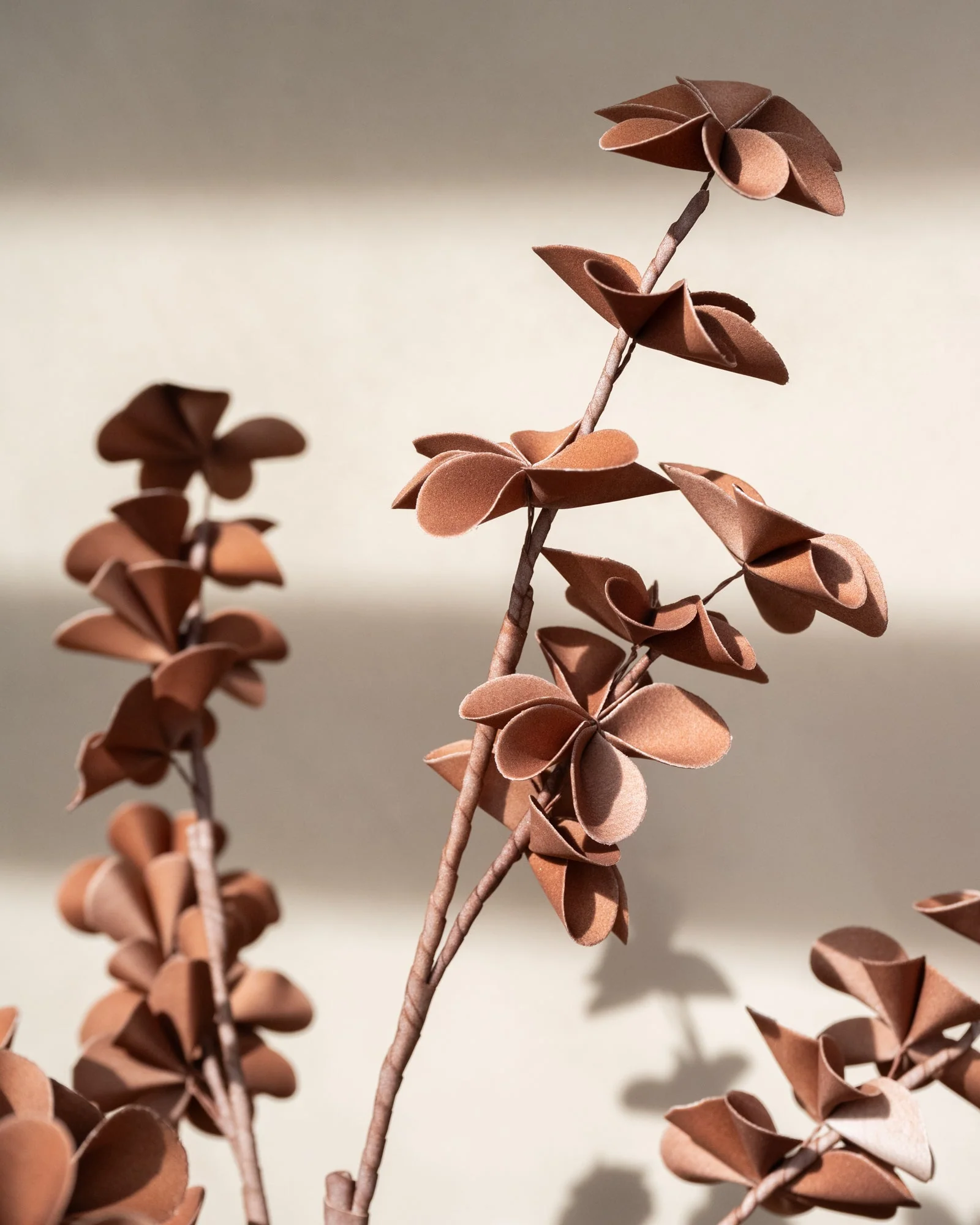 Miniatuur 4