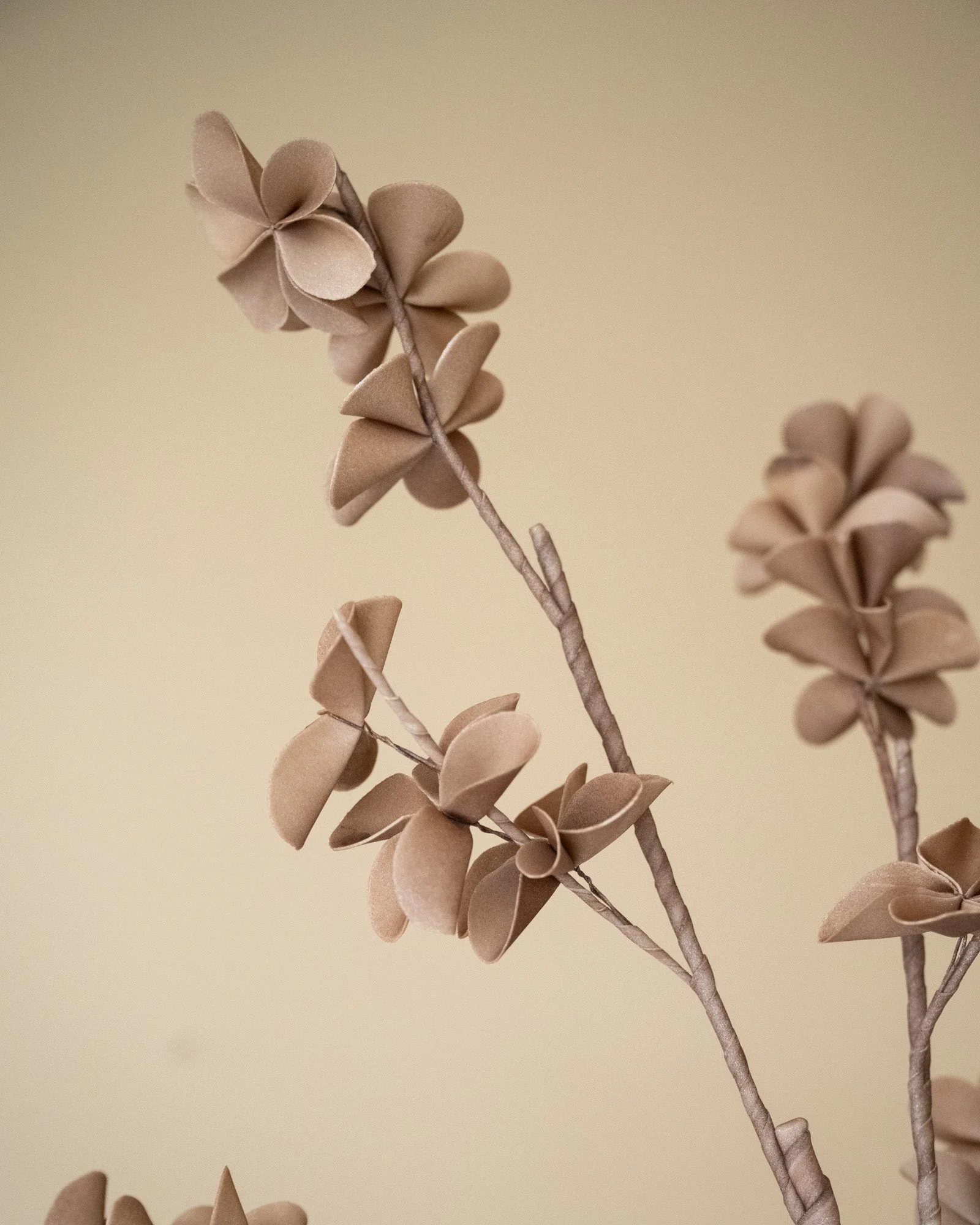 Miniatuur 4
