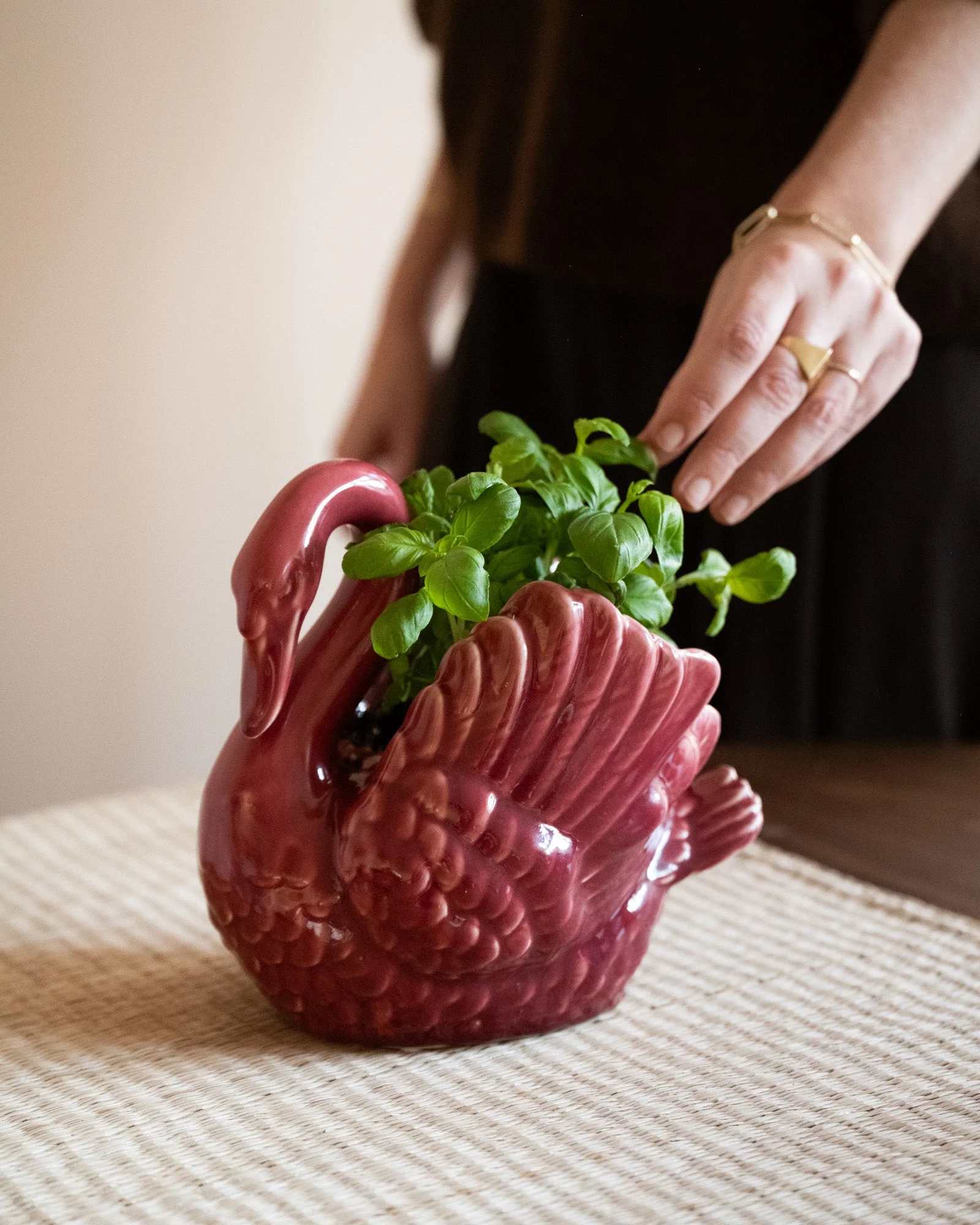 Miniatuur 4