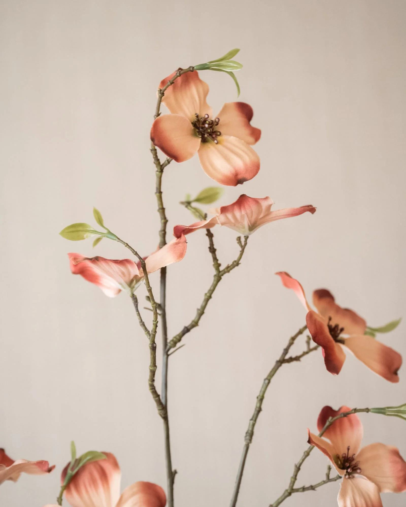 Miniatuur 3