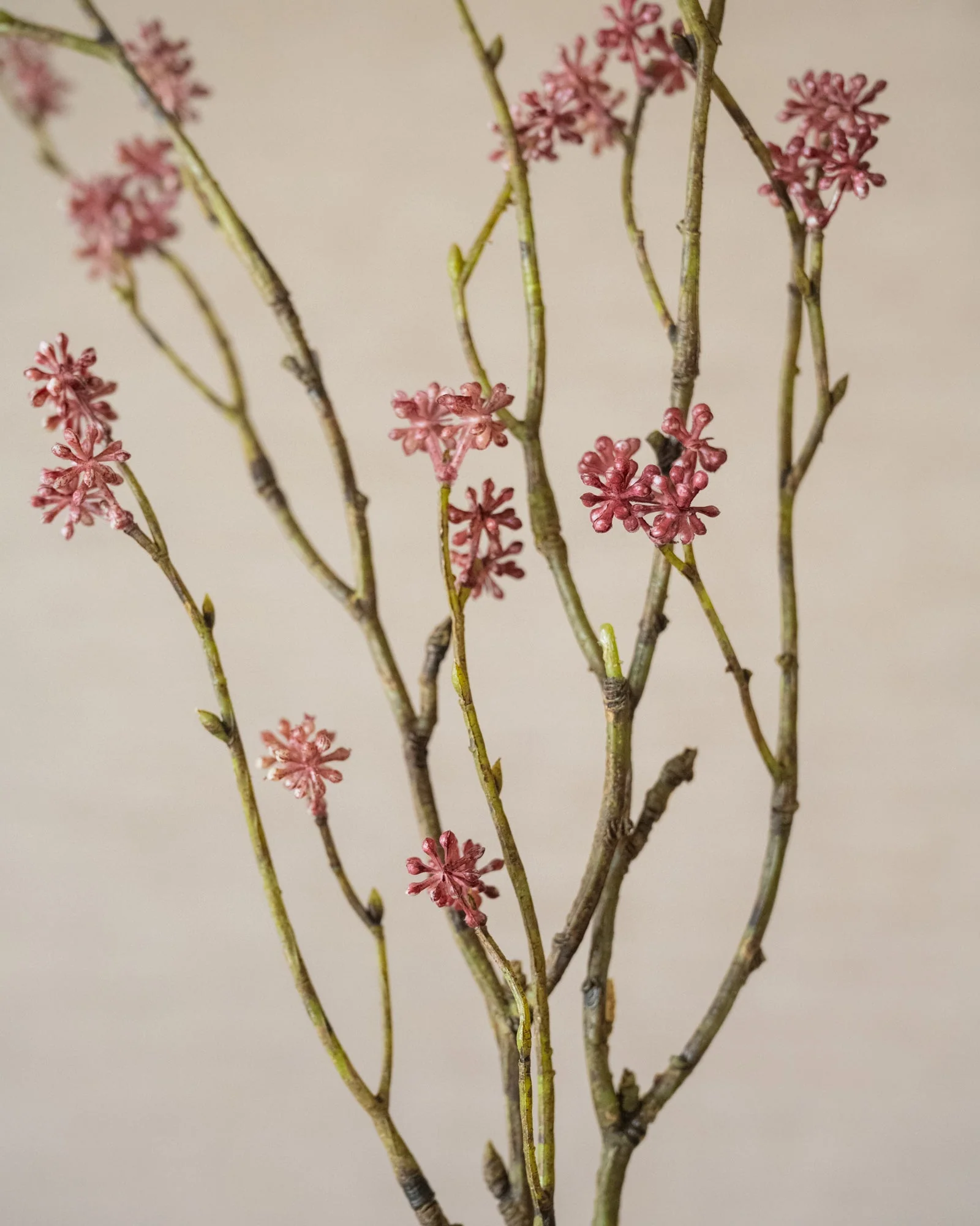 Miniatuur 4