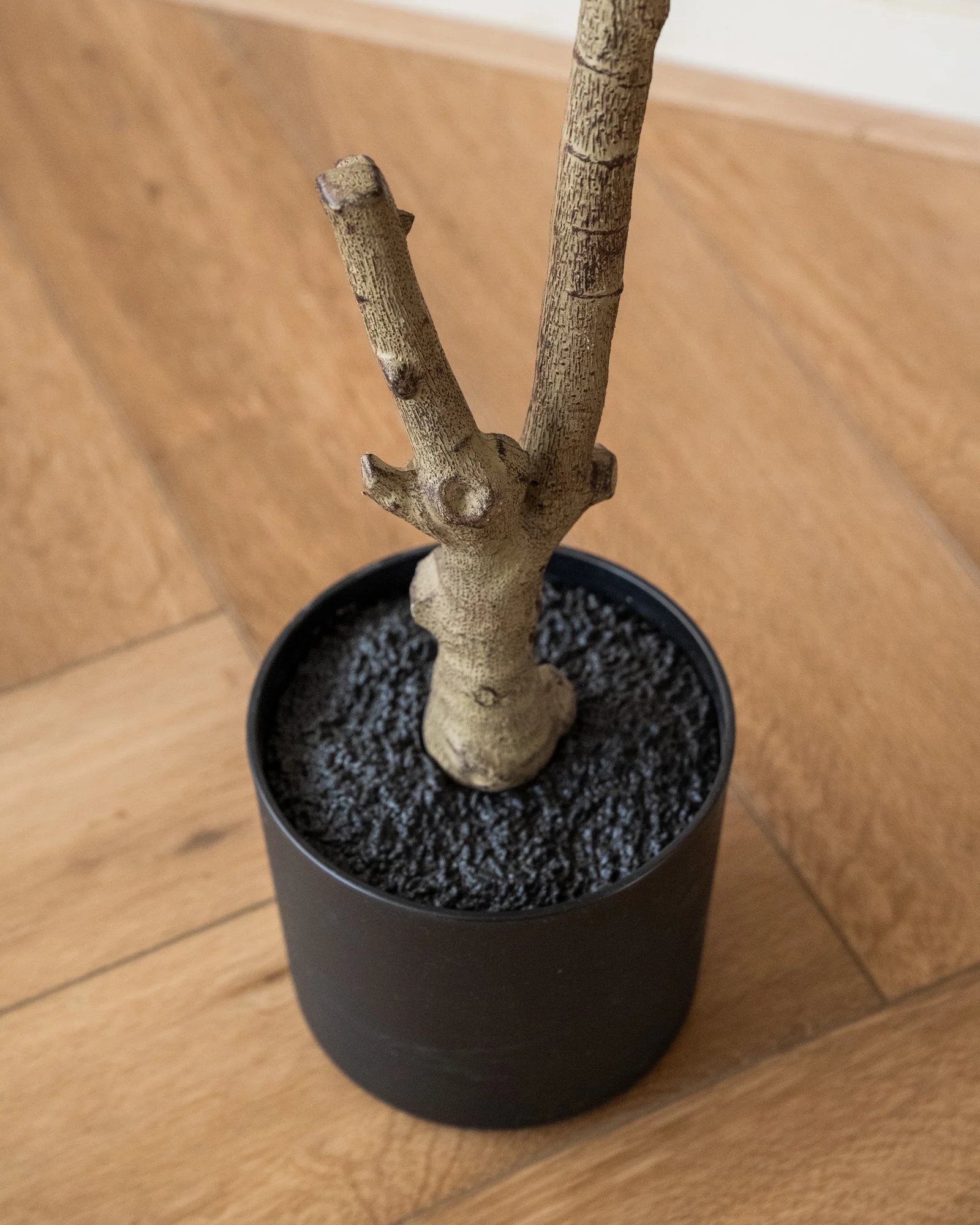 Miniatuur 6